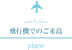 come by plane 飛行機でのご来島 plane