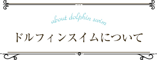 about dolphin swim ドルフィンスイムについて